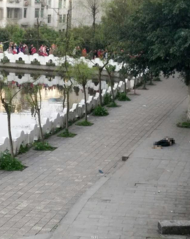 学生宿舍楼外死亡 该反省的是教育还是家长？（图）
