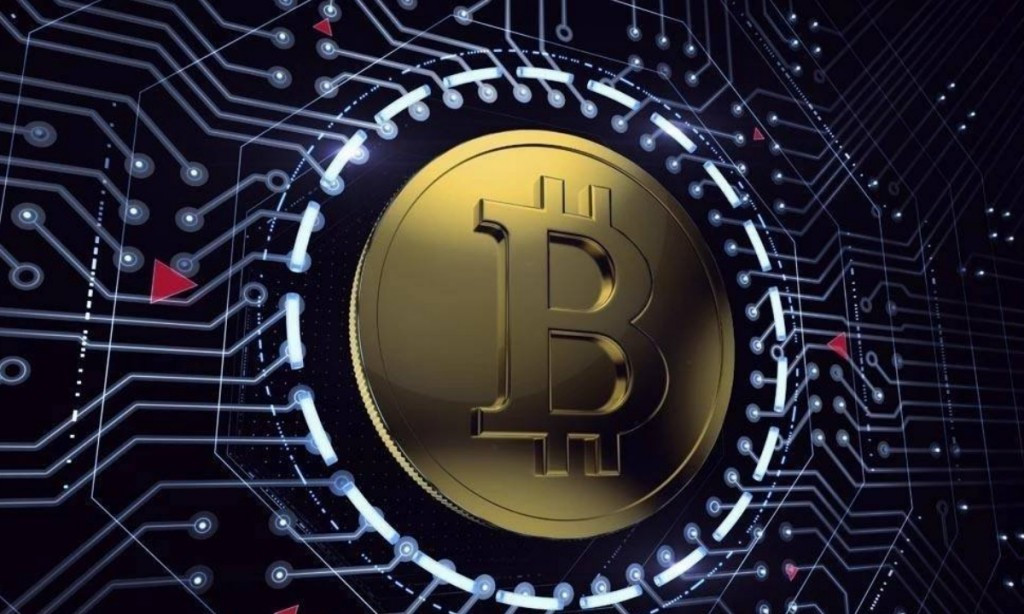 1503911525876736.jpeg 1.jpeg